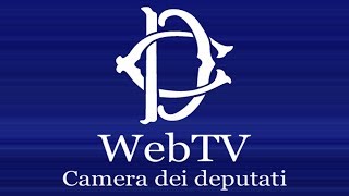 webtvcameratv  Audizioni su ordinamento e struttura di Inps e Inail  18122018 [upl. by Winny]