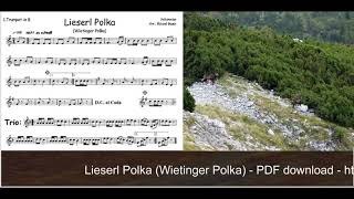 Lieserl Polka  Wietinger Polka Trio [upl. by Arnold]