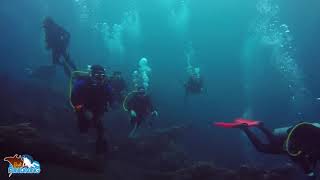 Sunrise Dive Bali  Lovina Dive Centre [upl. by Paynter]