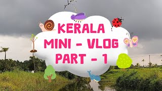 KERALA VLOG  1 🌴🌸🦋✨ vlog kerala hindi countryside keralavlogs nature naturevlogs [upl. by Aitram38]