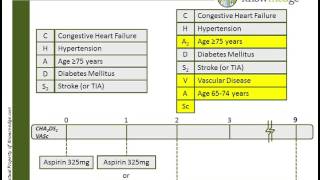 Internal Medicine ABIM Board Exam Review Question Anticoagulation in Atrial Fibrillation [upl. by Mateya]