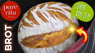 Brot selber backen ohne Kneten 🥖 Speedy NoKnead Bread [upl. by Aihsekram]