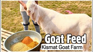 Goat Feed Given By Kismat Goat Farm amp Cost Of Keeping Goats [upl. by Syah]