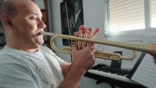 Avishai Cohen Trumpet solo Transcription [upl. by Annanhoj]