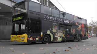 BVG  Busverkehr am Steglitzer Kreisel und HermannEhlersPlatz am 19 November 2020 [upl. by Dustie]