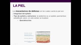 Introducción a la inmunología humana  Clase 2 Inmunidad Innata quotLas barreras naturalesquot [upl. by Simonsen]