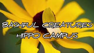 Bashful Creatures lyrics Hippo Campus [upl. by Dlarej]