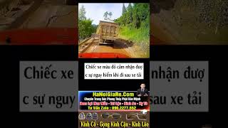 Cảnh báo khi lái xe ô tô cạnh xe tải  Kỹ Năng Lái Xe ô Tô Cho Người Mới hoclaixe oto [upl. by Artim]