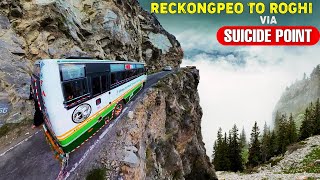 RECKONG PEO TO ROGHI  HRTC bus journey through Kalpa amp Suicide Point  Himbus [upl. by Kaitlyn]