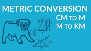 ʕ•ᴥ•ʔ Metric Units Conversion Basics cm to m m to km and simplify [upl. by Yekim747]