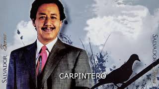 CARPINTERO Salvador Serna Gomez [upl. by Adnohrahs]