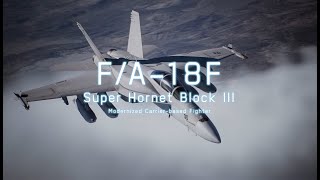 Ace Combat 7  FA18F Block III Demo  CuttingEdge Aircraft Series [upl. by Lim]