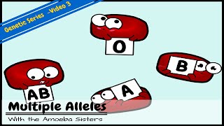 Multiple Alleles ABO Blood Types and Punnett Squares [upl. by Stedt]