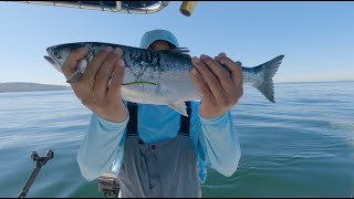 Fishing for Salmon at Puget Sound  Seattle Diaries [upl. by Sisto]