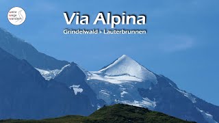 Via Alpina Grindelwald » Lauterbrunnen Etappe 11 [upl. by Martie]