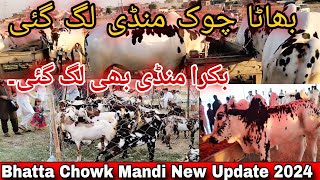 Bhatta Chowk Mandi New Update 2024 [upl. by Assehc]