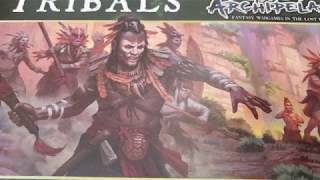 Northstar Miniatures Frostgrave Ghost Archipelago Tribals unboxed and built [upl. by Madelaine]