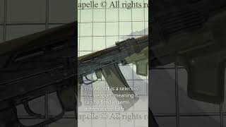 AK 101 MILITARY GUNshortsvideo [upl. by Llemert93]