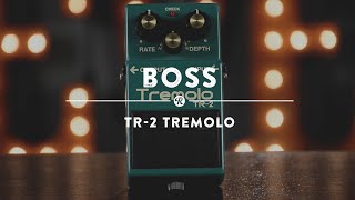 Boss TR2 Tremolo  Reverb Demo Video [upl. by Haslett95]