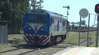 SDD7 B967 con Formacion 23 Remplazando los Coche Motores 3012024 [upl. by Ruenhcs]