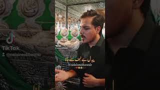 Karbala jane walo  Noha mir Hasan mir  Nalain e Abbas Mir  mir jawad mir  arbaeen2024 nohas [upl. by Yrrek]