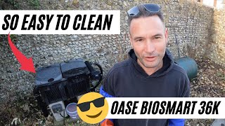 Oase Biosmart 36000  The Easiest Pond Filter To Clean [upl. by Wadsworth515]