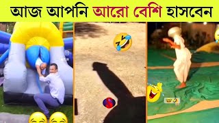 বেকুবদের কান্ড 😂  Osthir Bangali  Funny Video Bangla  Mayajaal  Bangla Rides  Funny Facts [upl. by Eltrym80]