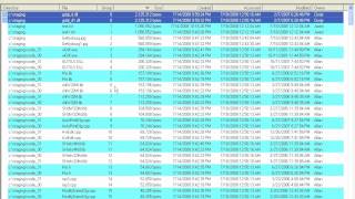 Directory Report  Finding Duplicate Files [upl. by Labannah]