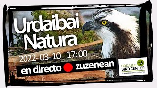 🔴 Programa semanal Urdaibai Natura 10032022 [upl. by Acirederf]