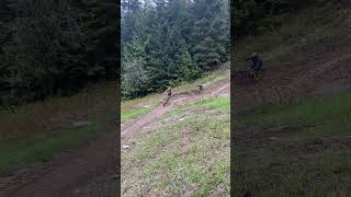 Lower Whistler Downhill  Bike Park 2024 mtb whistlerbikepark [upl. by Aslehc431]