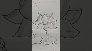 Waterlily🌷drawingflowerartdrawing [upl. by Anauq]