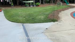 Zoysia Grass Seed Project Video 14 [upl. by Notsew]