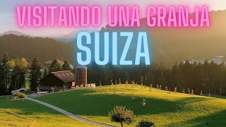 VISITANDO UNA GRANJA SUIZA [upl. by Nojed]