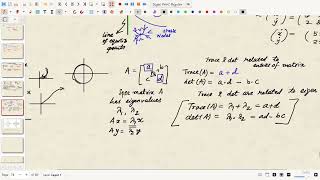 Two dimensional linear system dynamics [upl. by Einobe]