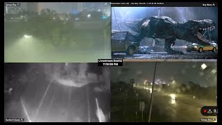 FLORIDA GOJIRA VS HURRICANE MILTONRare cryptid sighting [upl. by Yrehc]