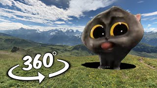 KITTEN KITTEN Scatman dance But Its 360 VR Video [upl. by Haet4]