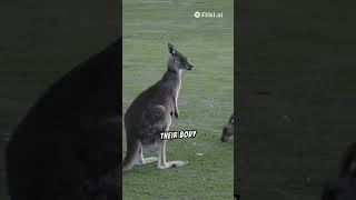 Three interesting facts about Kangaroos youtubeyoutuberyoutubeshortsmrfacts viralkangaroo [upl. by Plank]