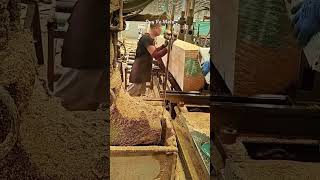 Woodworking Wizardry Perfect Planks in SECONDS woodcuttingsawing [upl. by Geraint]