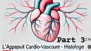 la 1ère cours d histologie lappareil cardio vasculaire 2eme année médecin blida 💗 part 3 [upl. by Anwahsat]