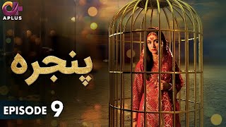 Pakistani Drama  Pinjra  Episode 9  Aplus Gold  Yumna Zaidi Nauman Aijaz  CZ1O [upl. by Buote]