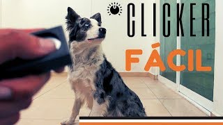 Otro método FÁCIL para entrenar a un perro  EL CLICKER [upl. by Kelwen302]