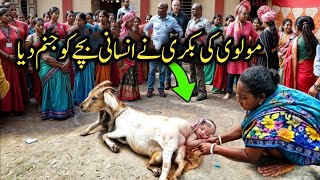 Molvi Ki Bakri Ne insan ka baccha paida Kiya per kaise  Goat gives Birth to Human Baby [upl. by Nodyarb834]