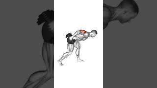 Dumbbell One Arm Kickback [upl. by Ardnoyek501]