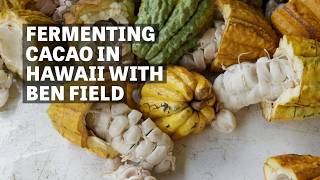 Fermenting Cacao In Hawaii With Ben Field  Ep113  Craft Chocolate TV [upl. by Am]