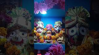 जय जगन्नाथmusic song bollywood hindisong jagarnnath song live youtubeshorts youtube odiya [upl. by Gerge623]