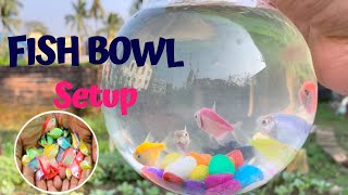 6 inch Fish Bowl Setup Idea । Nano Ecosystem Budget Price 500  aquarium vlogs fishtank [upl. by Harbard]