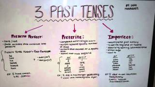 Spanish Grammar Past Tenses Present Perfect Preterite amp Imperfect [upl. by Moulden]