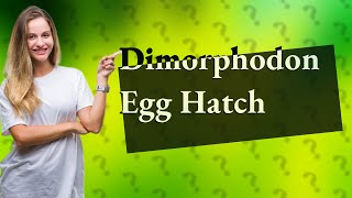 How do you hatch a Dimorphodon egg [upl. by Neeron]