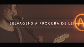 Selvagens à Procura de Lei  Full Show AudioArena Originals [upl. by Nylirret]