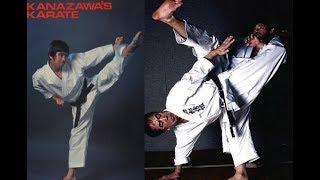 Shotokan Karate Kihon [upl. by Shewmaker938]